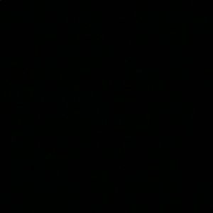 Meet your Posher, Justus